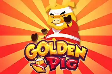 Golden Pig